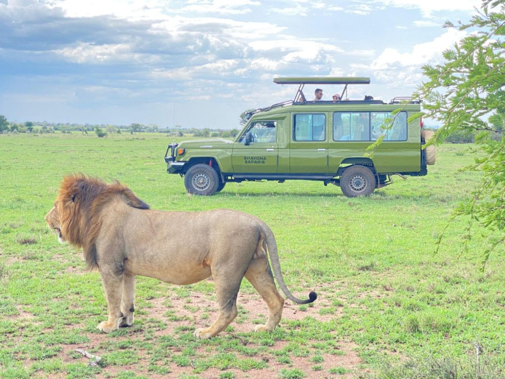 Ngorongoro Crater Game Drive