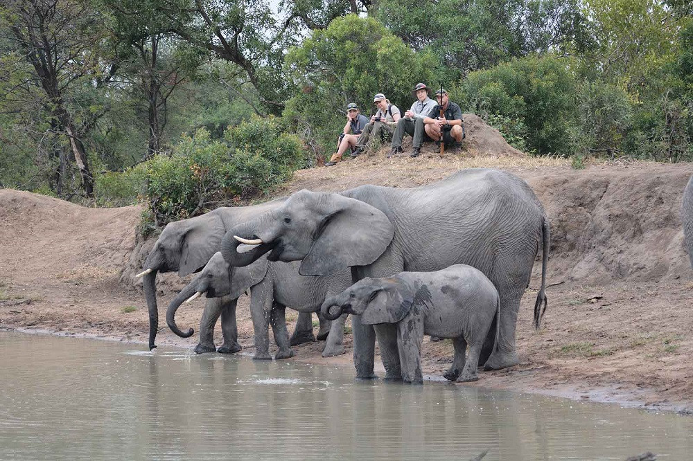 Kruger - Morning Bush Walk at Africa on Foot