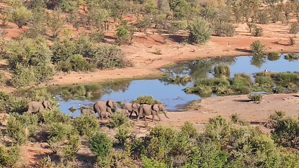 Zim Helicopter Flight-Vulture Safari-Boat Cruise