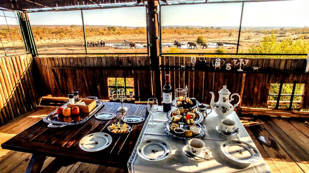 Afternoon Tea Celebration in the Bush + Game Drive