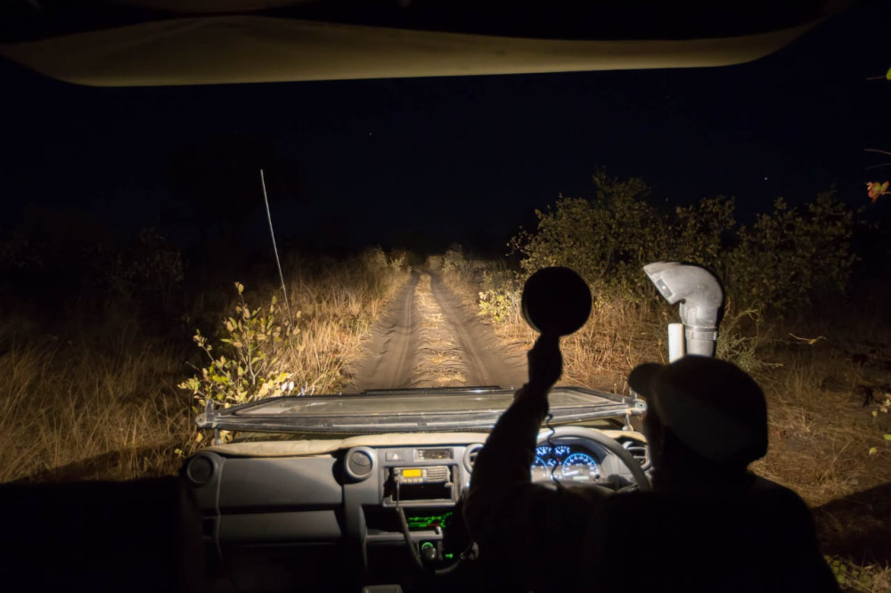 Amboseli Night Game Drive