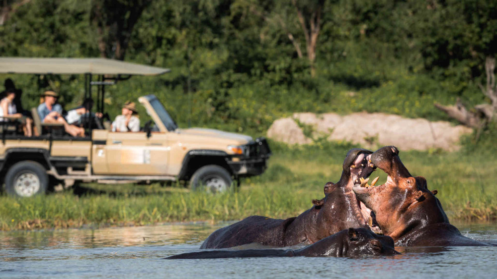 Chobe Camping Safari & Livingstone Low Season