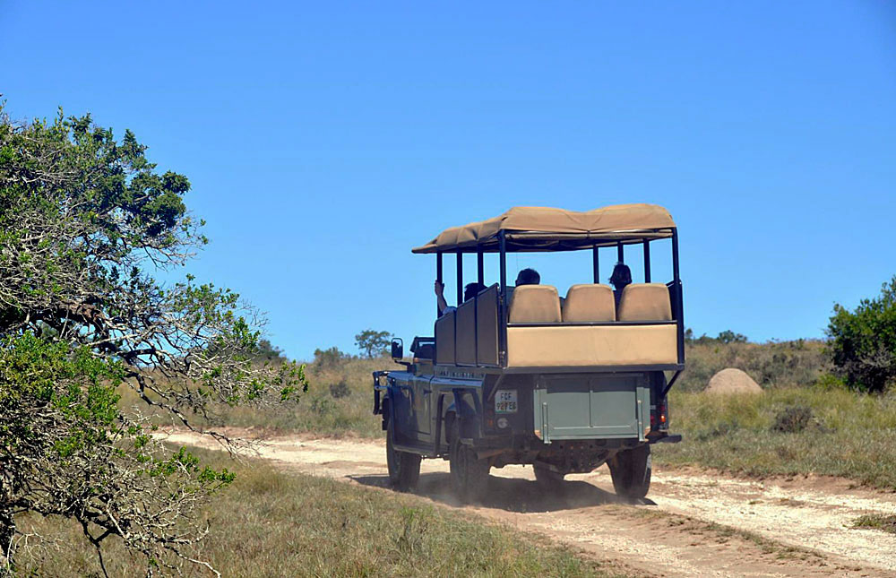 Amakhala Game Reserve – Travel Guide, Map & More!