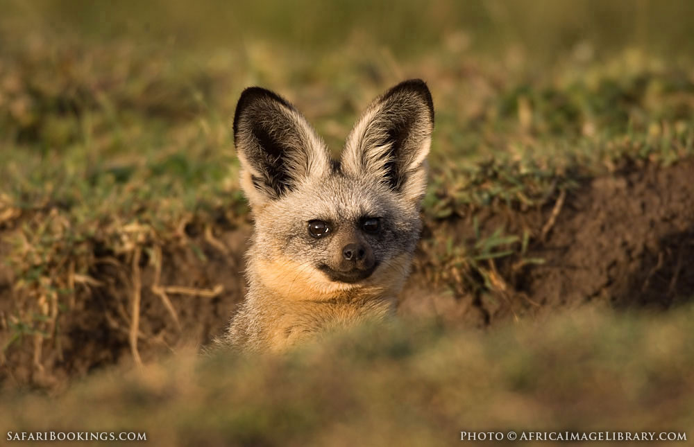 Camdeboo National Park Travel Guide, Map & More!