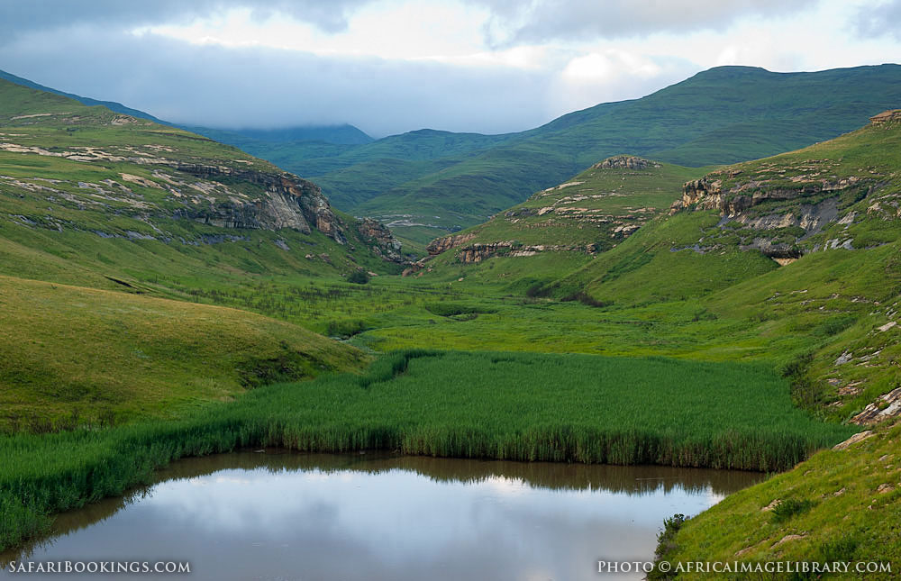 Golden Gate Highlands NP Photos Images & Pictures