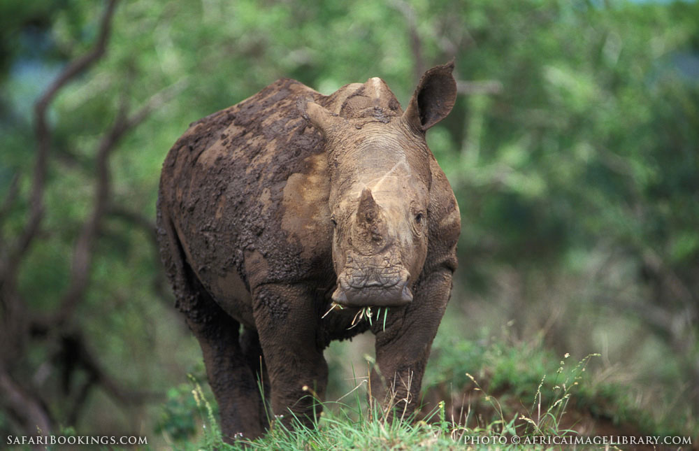 South Africa Photos – Award winning images & pictures!