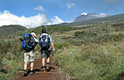 7-Day Kilimanjaro Trek- Machame Route