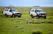 3-Day / 2 Nights Serengeti NP / Ngorongoro CA
