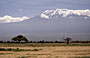 6-Day Kilimanjaro Mountain Trekking
