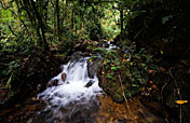 10-Day Rafting, Rwenzori Mountains & Gorillas Safari