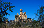 10-Day Zimbabwe Classic Safari Tour Package