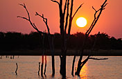 11-Day Harare to Victoria Falls Safari Tour
