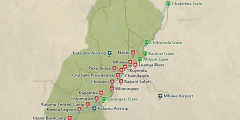 South Luangwa National Park – Travel Guide, Map & More!