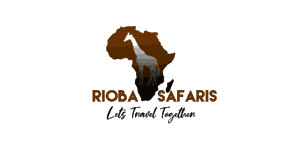 Rioba Safaris