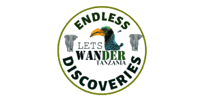 Lets wander Tanzania company limited Logo