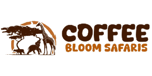 Coffee Bloom Safaris Logo