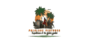 Palglade Ventures Logo