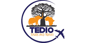 Tedio Tours and Travels Logo