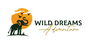 Wild Dreams Adventure Logo