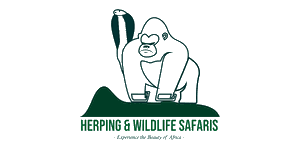 Herping and Wildlife Safaris Logo