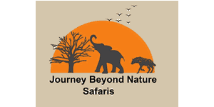 Journey Beyond Nature Safaris