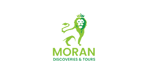 Moran Discoveries & Tours Logo