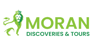 Moran Discoveries & Tours Logo