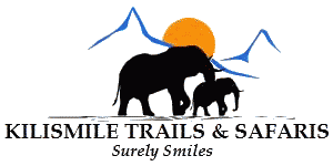KiliSmile Trails and Safaris Logo