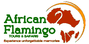 African Flamingo Tours and Safaris Logo