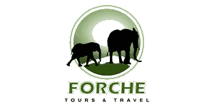 Forche Tours and Travel Logo