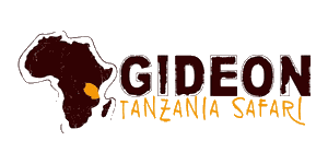 Gideon Tanzania Safari