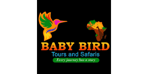 Baby Bird Tours and Safaris Logo