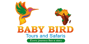 Baby Bird Tours and Safaris Baby Bird Tours and Safaris