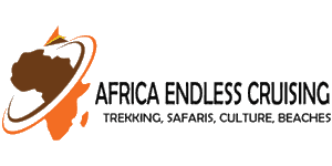 Africa Endless Cruising  Logo