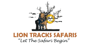 Lion Tracks Safaris Logo