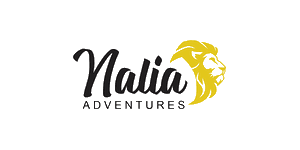 Nalia Adventures  Logo