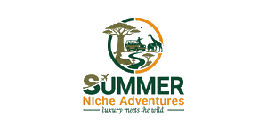 Summer Niche Adventures Logo