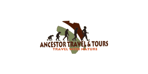 Ancestor Travel & Tours