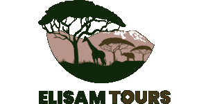 Elisam Tours