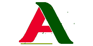 Action Tours Logo