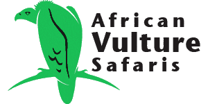 African Vulture Safaris  Logo
