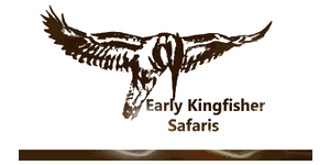 Early Kingfisher Safari Logo