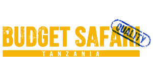 Budget Safari Tanzania logo