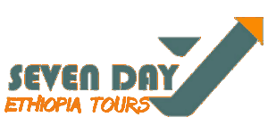 Seven Days Ethiopia Tours Logo