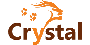 Crystal Voyage Logo