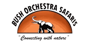 Bush Orchestra Safaris Logo