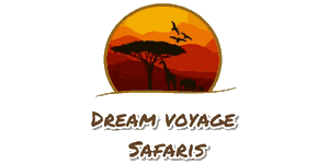 Dream Voyage Safaris