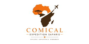 Comical Expedition Safaris Logo