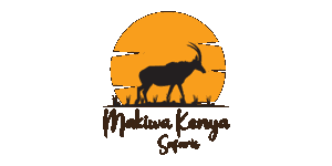 Makiwa Kenya Safaris
