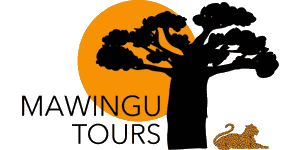 Tanzania Mawingu Tours 